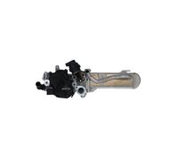 NRF 48205 Modulo EGR