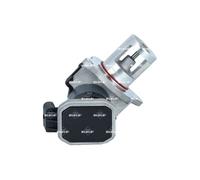 NRF 48685 Válvula EGR