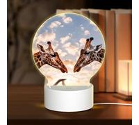 NSDdefAWCGT Luz nocturna acrílica con dos jirafas cara a cara, lámpara de noche con USB, luz nocturna LED para decoración del hogar, Navidad, cumpleaños, regalos de boda