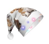 NSDdefAWCGT Sombrero de Navidad para perros desde diferentes ángulos, sombrero de Papá Noel, para adultos, unisex, gorro de Navidad para fiesta festiva de Año Nuevo