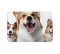 NSDdefAWCGT Tapete para puerta delantera, tapete de bienvenida para interiores y exteriores, para perros que sobresale la lengua, antideslizante, alfombra de entrada de perfil bajo para puerta trasera