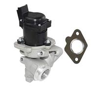 NSGMXT Válvula EGR de repuesto para C2 C3 C4 C5 Berlingo Xsara 206 207 307 407 308 Expert 1.6 HDI 9649358780 1618NR 161859 9660276280