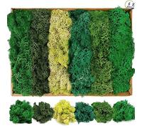 Nswayy 6 Musgos Decorativos Imitados,6 Colores de Simulación de Musgo para Decorar Hogar Maceta Paisagismo Planta Verde Artificial para Maualidades Simulación de Liquen Musgo para Jardines Eternos