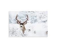 NTALJC Adjustable Pull-out Shoe Rack - Stackable Metal Vertical Shelves for Closet Space-Saving, Retractable Design in Black, 13 Tiers (53cm) - Ideal for Small Bedrooms & Organizing Footwear