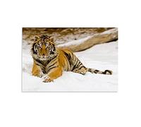 NTALJC Bamboo Shoe Cabinet - Stylish Entryway Shoe Rack with Doors & Drawer for Hallway, Bedroom & Closet - Farmhouse Storage Solution