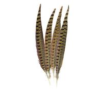 Ntcpefy de Naturaleza Aillo de Cuello Faisan Plumas 4 / Pcs, Natural