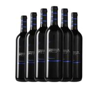 Ntra. Sra. del Romero Castillo de Gorráiz Navarra 75 cl Vino tinto (Caja de 6 Botellas de 75 cl)