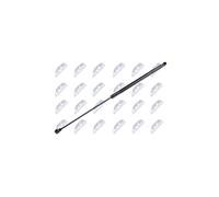 NTY Amortiguador de maletero AE-DW-002 para OPEL ANTARA