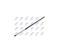 NTY AE-NS-018 Amortiguador de maletero para RENAULT KANGOO Express (FC0/1)