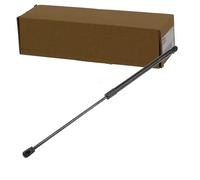 NTY AE-PL-053 Amortiguador de maletero