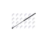 NTY AE-RE-000 Amortiguador de maletero para RENAULT Sandero/Stepway I (BS)