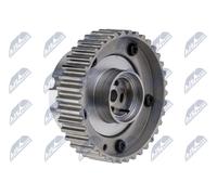 NTY Ajustador árbol de levas FORD 1,6 1796573 DS7G6C524AA