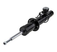 NTY Amortiguador De Gas Delante Derecho Compatible Para BMW X5 F15 F85 XDRIVE30D