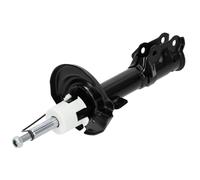 NTY Amortiguador De Gas Delante Derecho Para Ford Fiesta VI