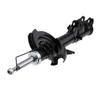 NTY Amortiguador De Gas Delante Derecho Para Mazda 2 DE DH 3 1.3 DE