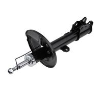 NTY Amortiguador De Gas Delante Derecho Para Toyota RAV 4 II CLA2_ XA2_ ZCA2_