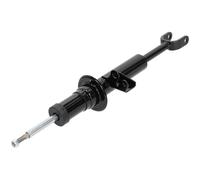 Amortiguador NTY A-BM-042 Para BMW