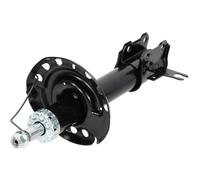 NTY Amortiguador de Gas Delantero Izquierdo para Opel Zafira B A05 1.8 1.6 CNG