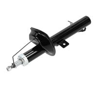 NTY Amortiguador Eje Derecho para Ford Focus Daw Dbw 1.6 16V 1.4 Dnw 1.8