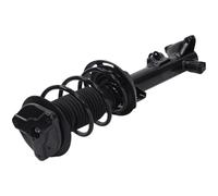 NTY Amortiguador Gas Presión Delantero Derecho Para Mercedes C T-Model S204 W204
