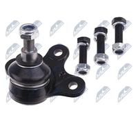 NTY Articulación De Soporte Y Guía ZSD-WW-019 Para Seat VW, Acero