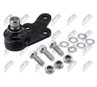 NTY Brazo de Soporte/Guía ZSD-FR-012 Para Ford, Eje Delantero Izq. Abajo