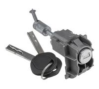 NTY Cerradura De Puerta Compatible Para Land Rover Range LM 3.6 D 4X4 4.4 LM