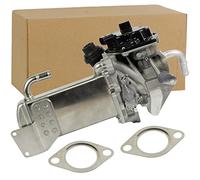 NTY EGR-VW-022 Válvula antirretorno de acero inoxidable AGR válvula para VW Transporter T5 2/2" NPT brida 03L131512BM