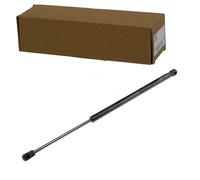 NTY AE-FR-015 Amortiguador de maletero