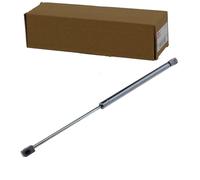 NTY Gasfeder, Heckscheibe AE-FR-031