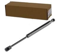 NTY Amortiguador de maletero AE-AU-010