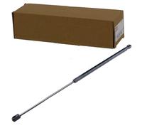 NTY Amortiguador de gas AE-FR-016 para maletero/compartimento de carga