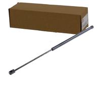 NTY Gasfeder, Koffer-/Laderaum AE-FR-029