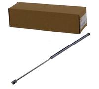 NTY Kit amortiguador de maletero AE-FR-039 para Ford Focus III 2011