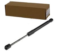 NTY AE-FR-048 Amortiguador de maletero