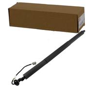 NTY AE-FR-076 Amortiguador de maletero