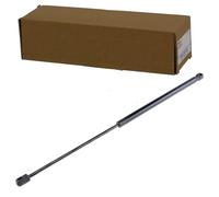 NTY Gasfeder, Koffer-/Laderaum AE-FT-001