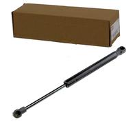 NTY AE-FT-012 Amortiguador de maletero para FIAT Linea (323, 110)