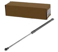 NTY Gasfeder, Koffer-/Laderaum AE-KA-028