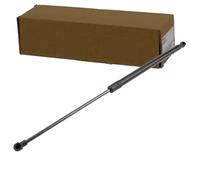 NTY AE-PE-038 Amortiguador de maletero