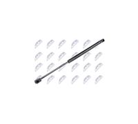 NTY AE-RE-011 Amortiguador de maletero para RENAULT CLIO II (BB0/1/2, CB0/1/2)