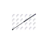 NTY AE-SE-008 Amortiguador de maletero para SEAT Ibiza IV Schrägheck (6J5, 6P1)