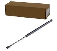 NTY Amortiguador de maletero AE-SE-009 para SEAT Ibiza IV Schrägheck (6J5, 6P1)