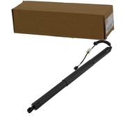 NTY Gasfeder, Koffer-/Laderaum AE-VW-108