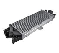 NTY Intercooler Compatible Para Iveco Daily III Chasis/Caja