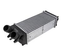 NTY Intercooler Para Citroën Berlingo MF 1.6 HDi 90 Xsara Picasso N68 M_