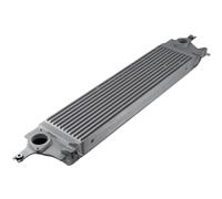 NTY Intercooler Para Nissan Qashqai II J11 J11_ 1.5 DCI J10 JJ10