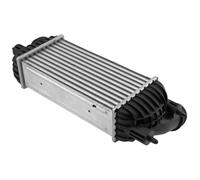 NTY Intercooler Para Peugeot Expert Kasten VF3A_ VF3U_