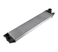 NTY Intercooler Para Renault Master II Furgón FD 2.5 DCI ED/HD/UD JD Opel