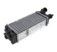 NTY Ladeluftkühler Intercooler Para Fiat 500 C 0.9 1.4 312 CNG-FT-016